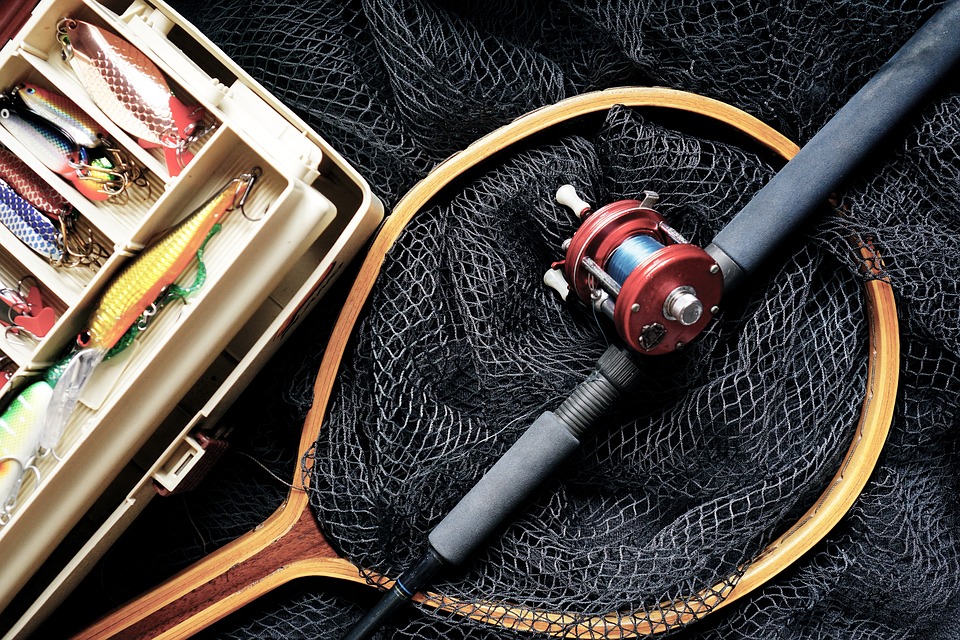 Things To Consider When Choosing An Inshore Fishing Charter