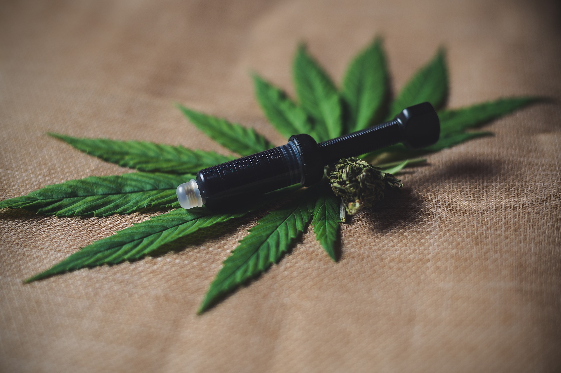 Tips For Buying The Best CBD Oil Products