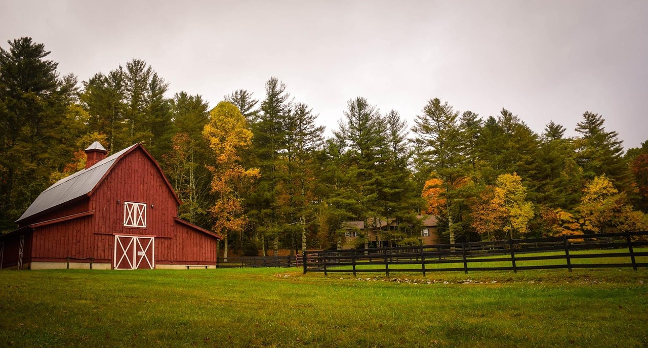 Things To Consider When Buying Rural Properties For Sale