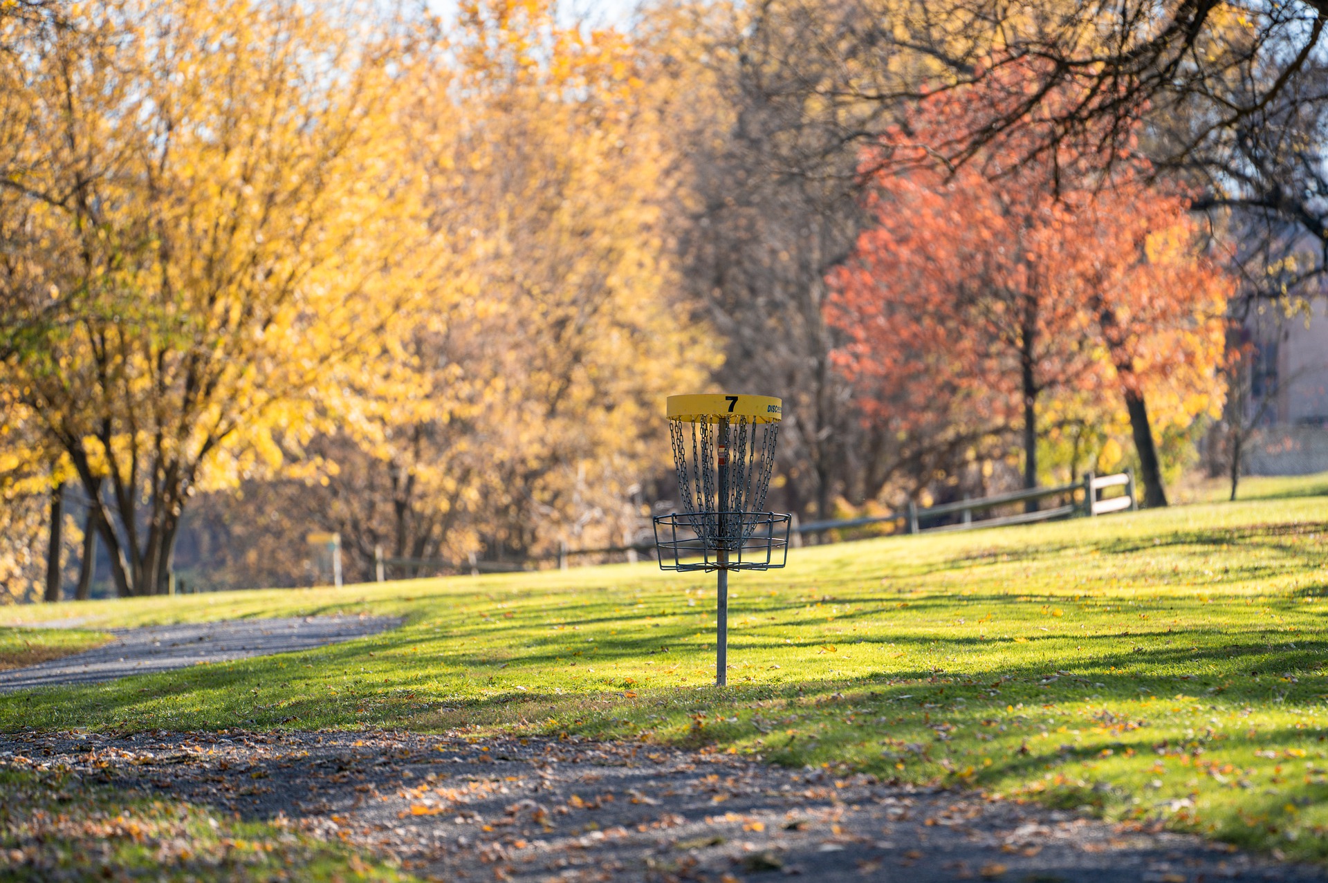 Tips For Buying The Best Disc Golf In Brisbane