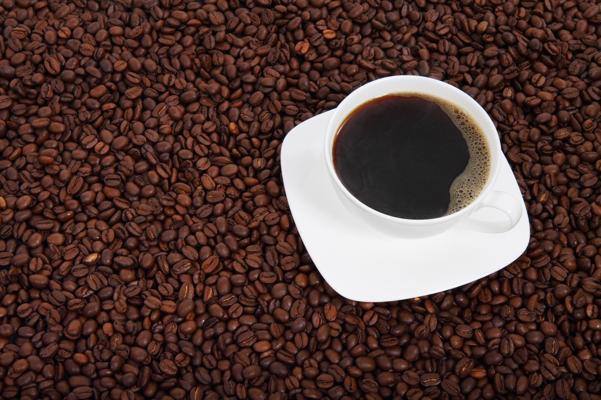 Buy Wholesale Coffee Beans Online