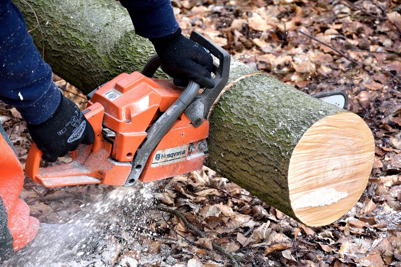 Factors To Consider When Buying Wood Cutting Devices