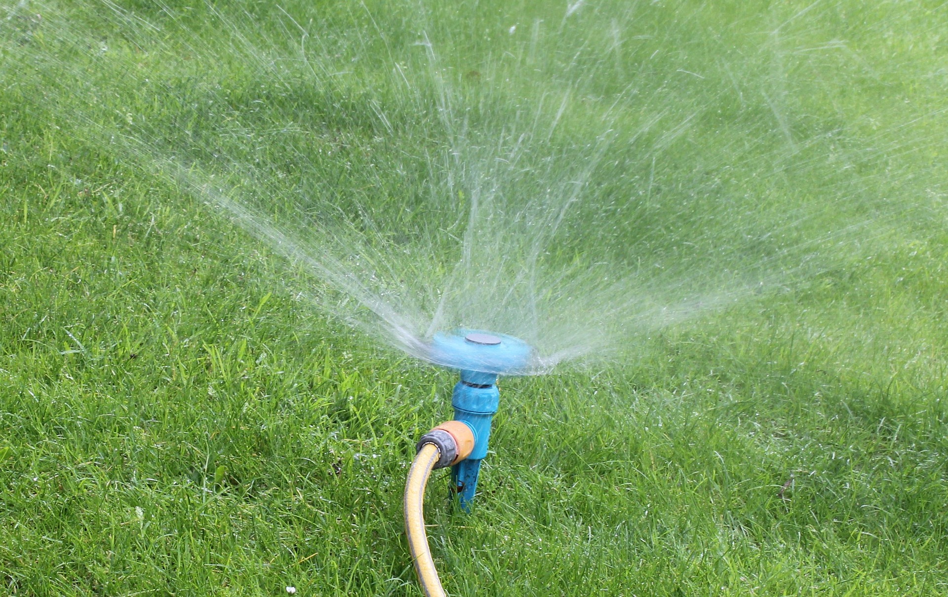 Qualities Of A Good Lawn Sprinkler Either Big Or Small.