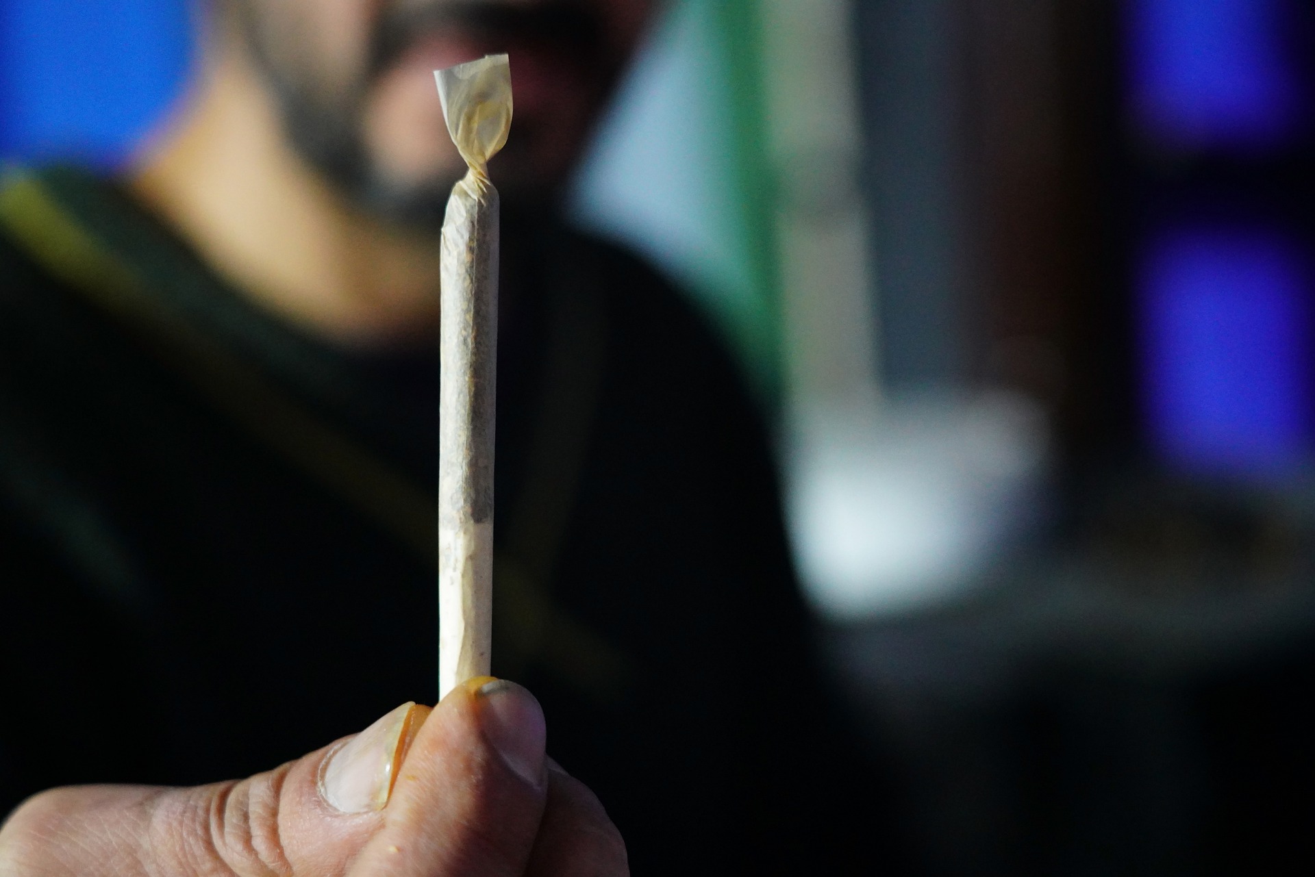 Amazing Reasons Why Pre Rolled Cones Are So Popular