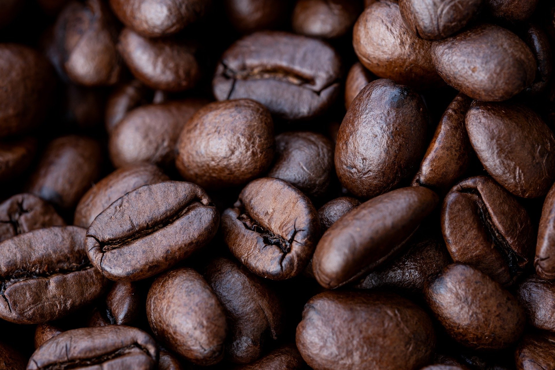 How To Buy Wholesale Coffee Bean Suppliers NZ?