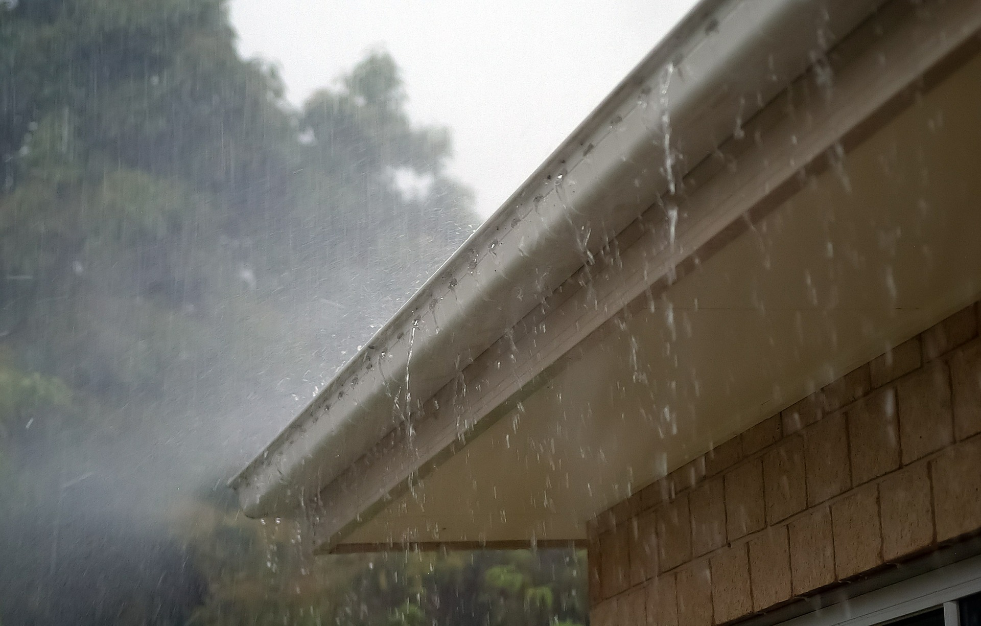 5 Reasons To Hire Gutter Cleaning Peterborough Services