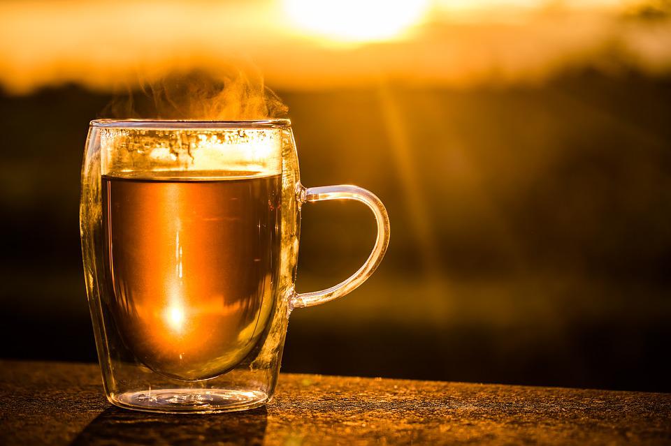 Chaga Tea Health Benefits: The Ultimate Guide