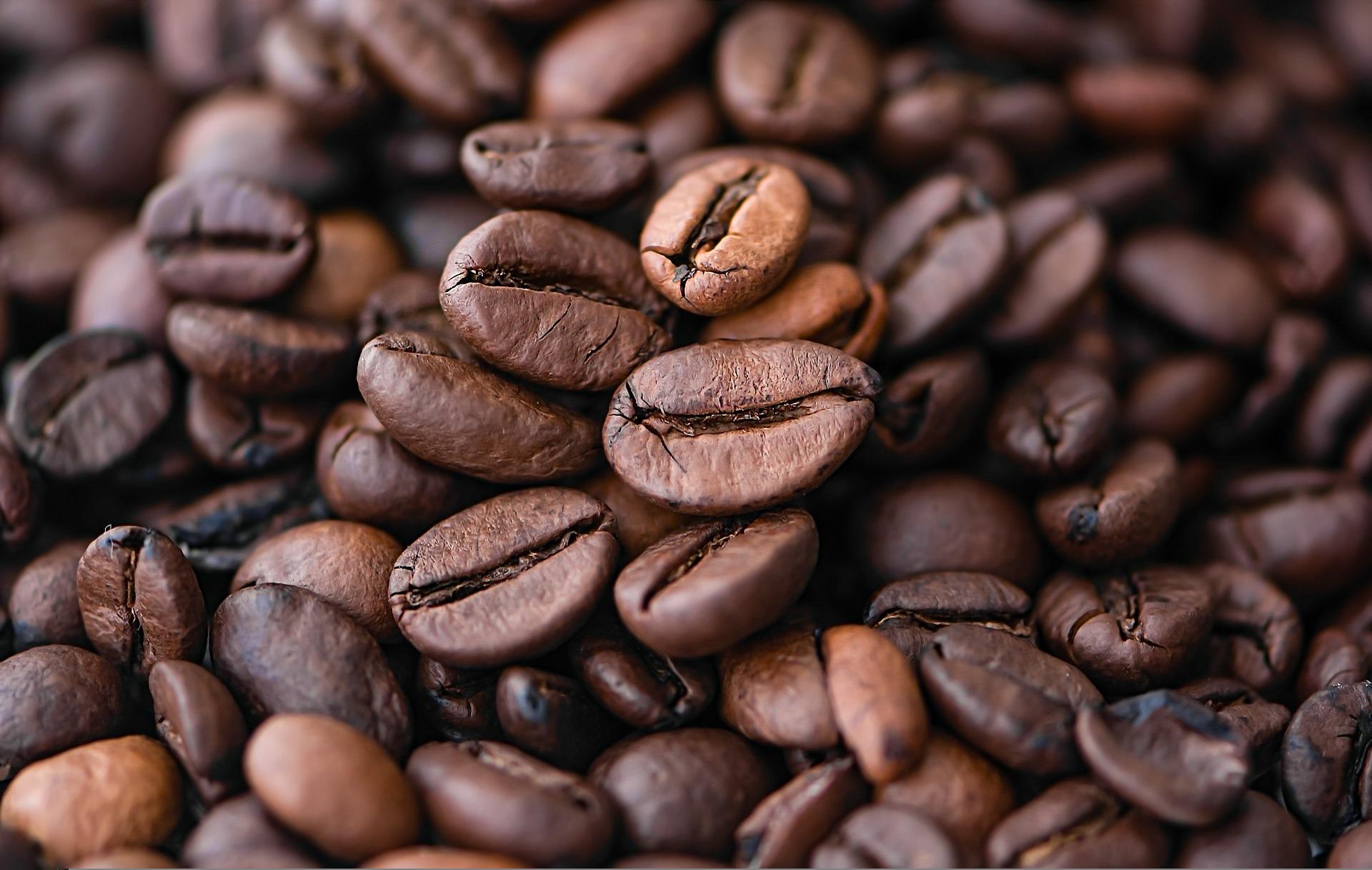 Everything You Need To Know About Wholesale Coffee Beans NZ