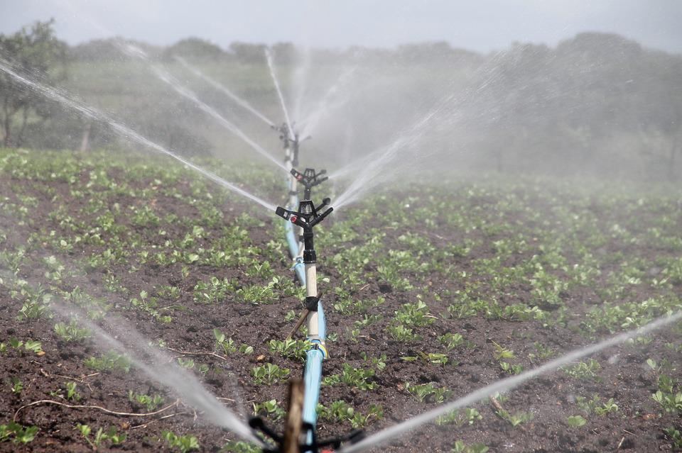 Things To Look For In Irrigation Contractors