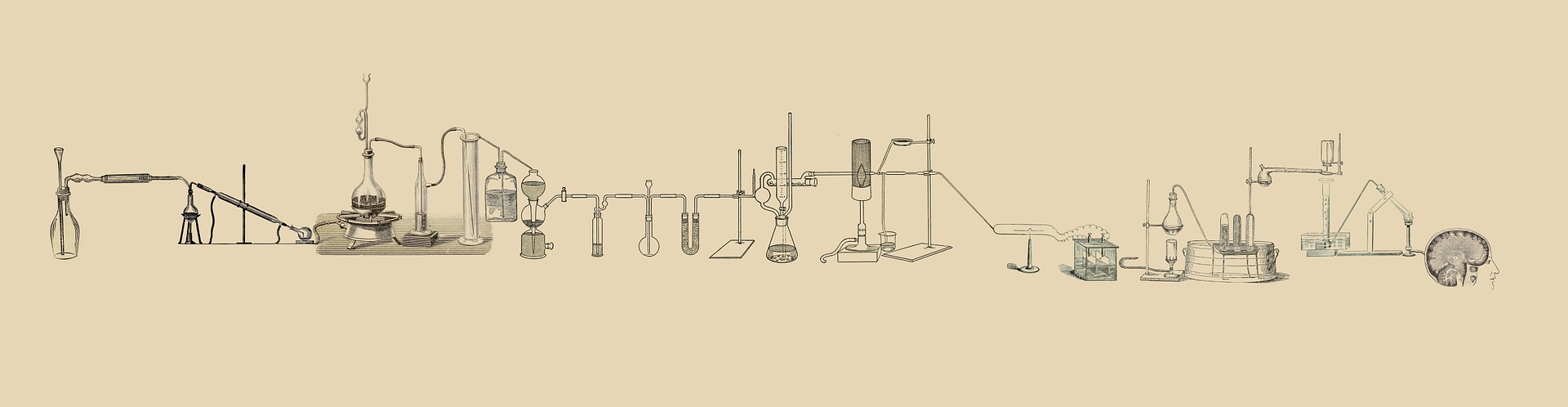 Key Characteristics Of A Scientific Illustration