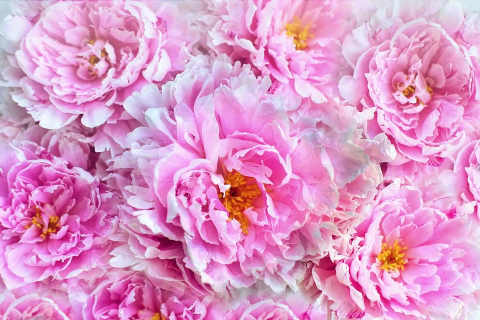 Everything You Need To Know About Artificial Peonies: The Perfect Flowers For Your Wedding