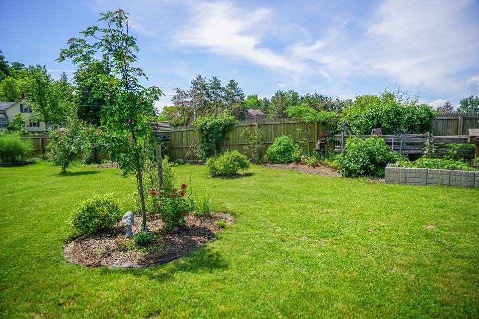 Garden Maintenance In Surrey Hills: The 3 Main Points You Need To Know