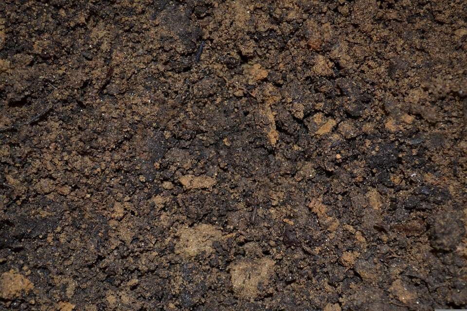 How To Choose Bulk Soil San Diego Supplier?