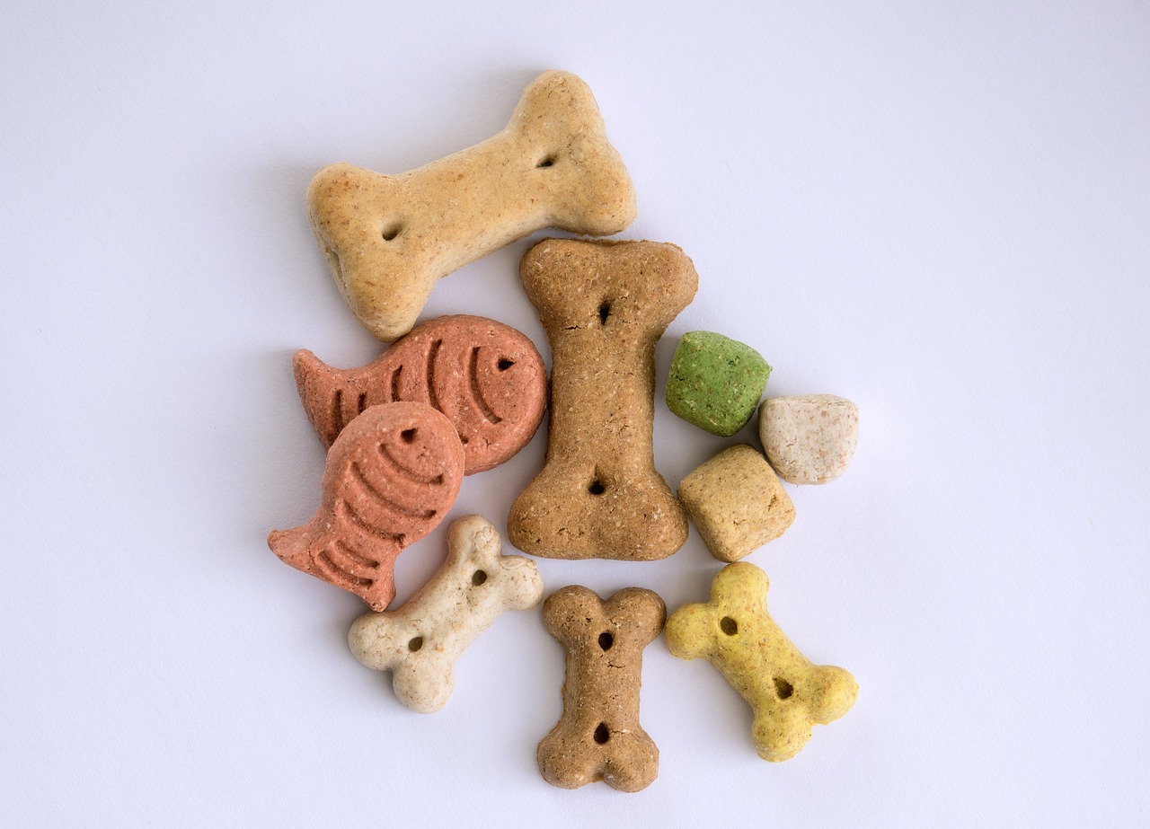 Meat-Free Dog Treats: How To Keep Your Pooch Happy And Healthy