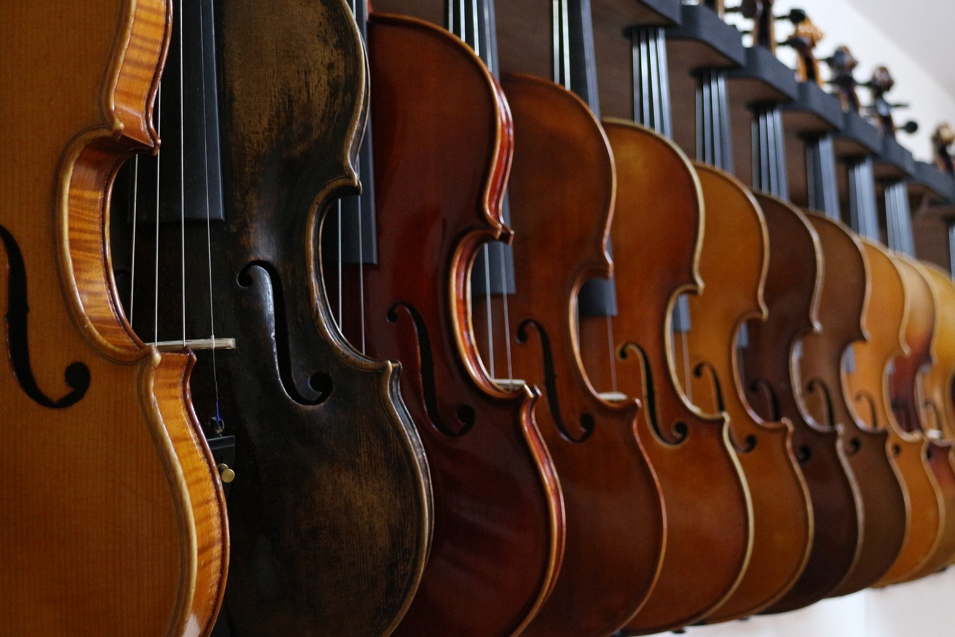 How To Open A Violin Shop