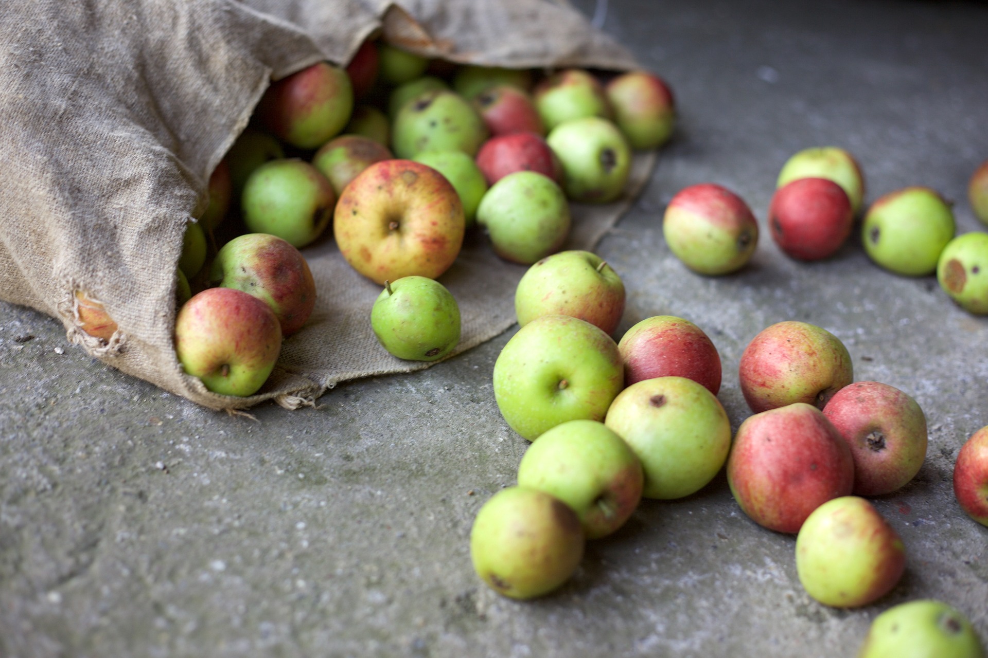 apples-3040132_1920