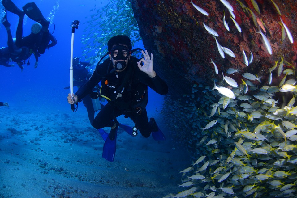 Becoming A Padi Dive Instructor