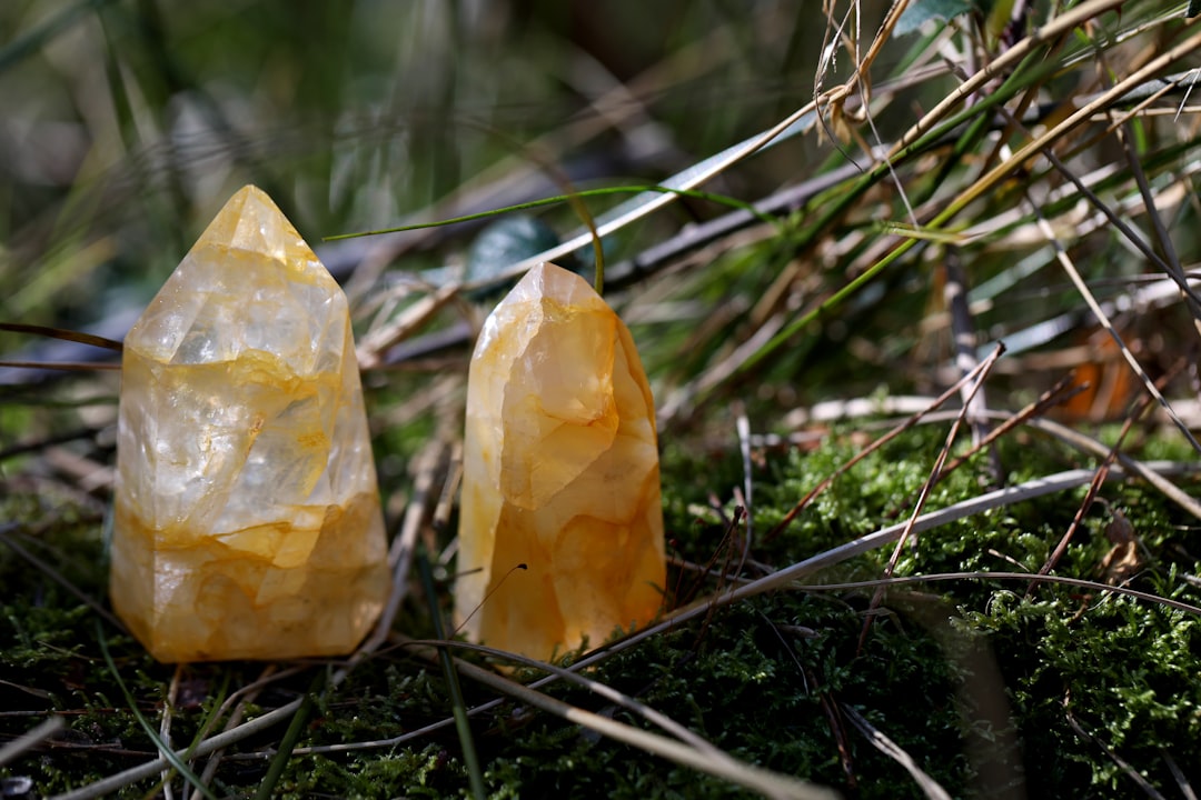 a couple of rocks sitting on top of a moss covered ground